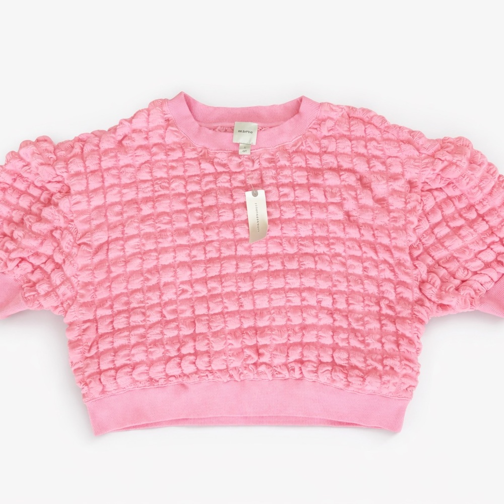 Anthropologie Pink Textured Crop Top NWT Women’s Size Small Short Sleeve